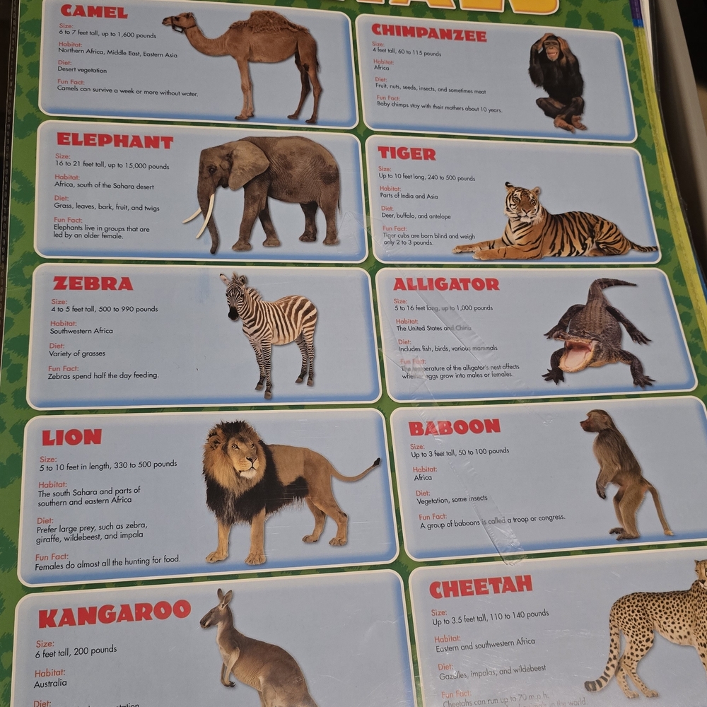 Educational Kids Poster Set - Picture 3 of 16